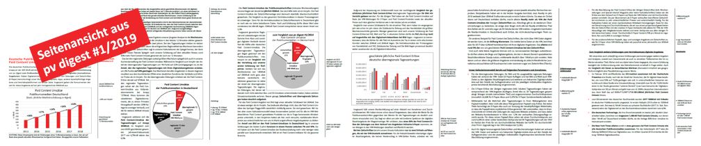 Seitenansicht Paid Content-Berichterstattung in pv digest #1/2019